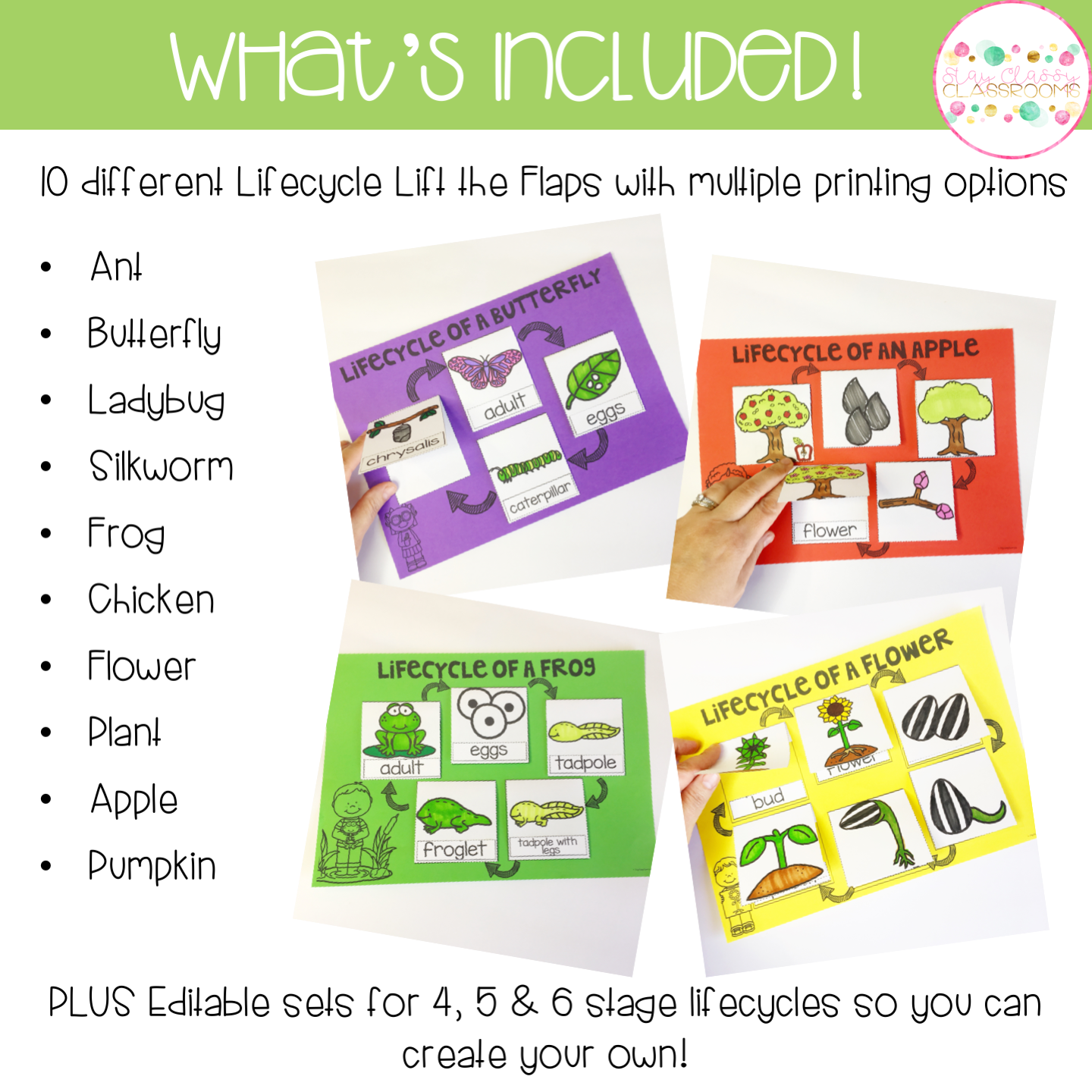 Life Cycles Lift the Flap Pack - Plants and Animals - Stay Classy ...