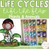 Life Cycles Lift the Flap Pack - Plants and Animals - Stay Classy ...